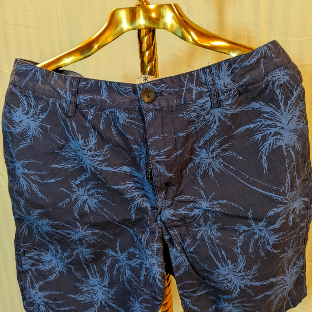 Steel and Jelly Shorts